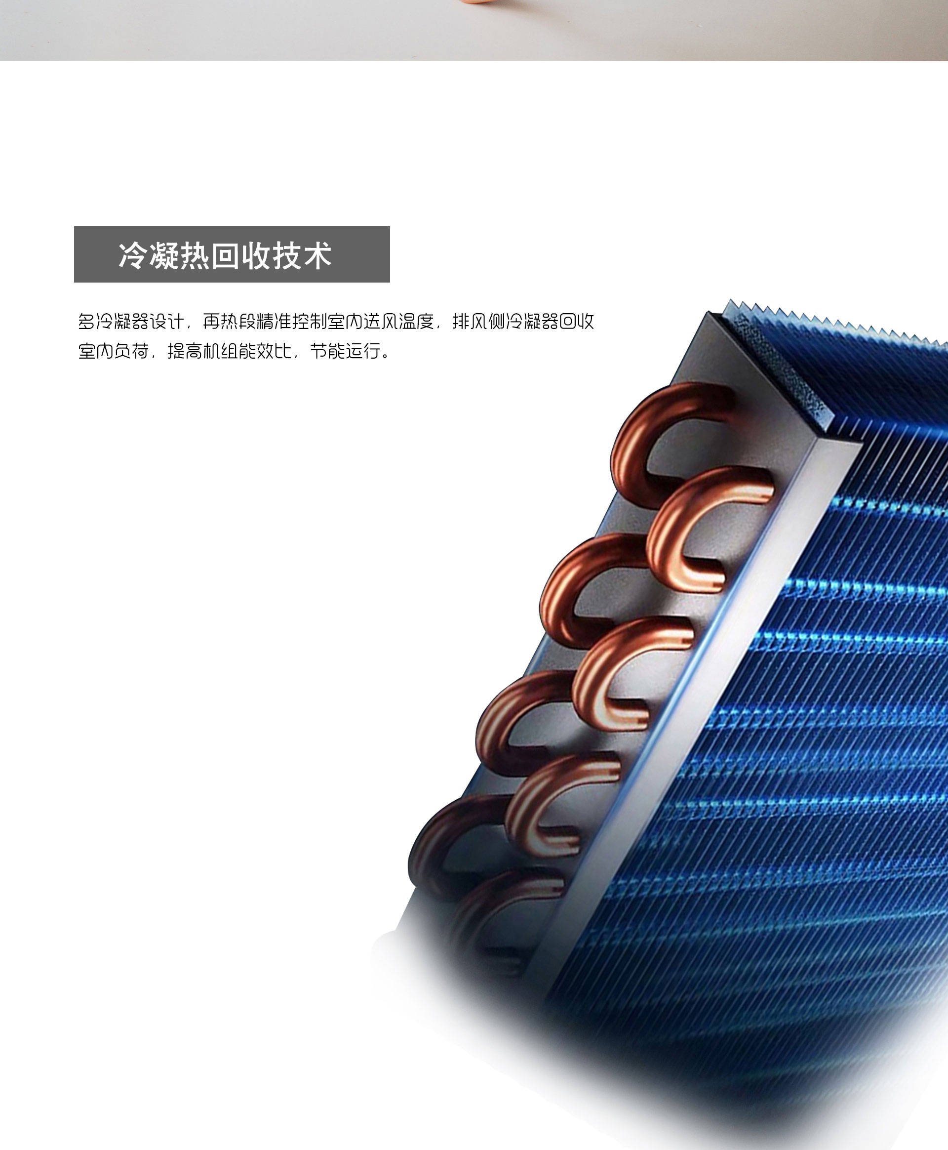 六效3_06.jpg