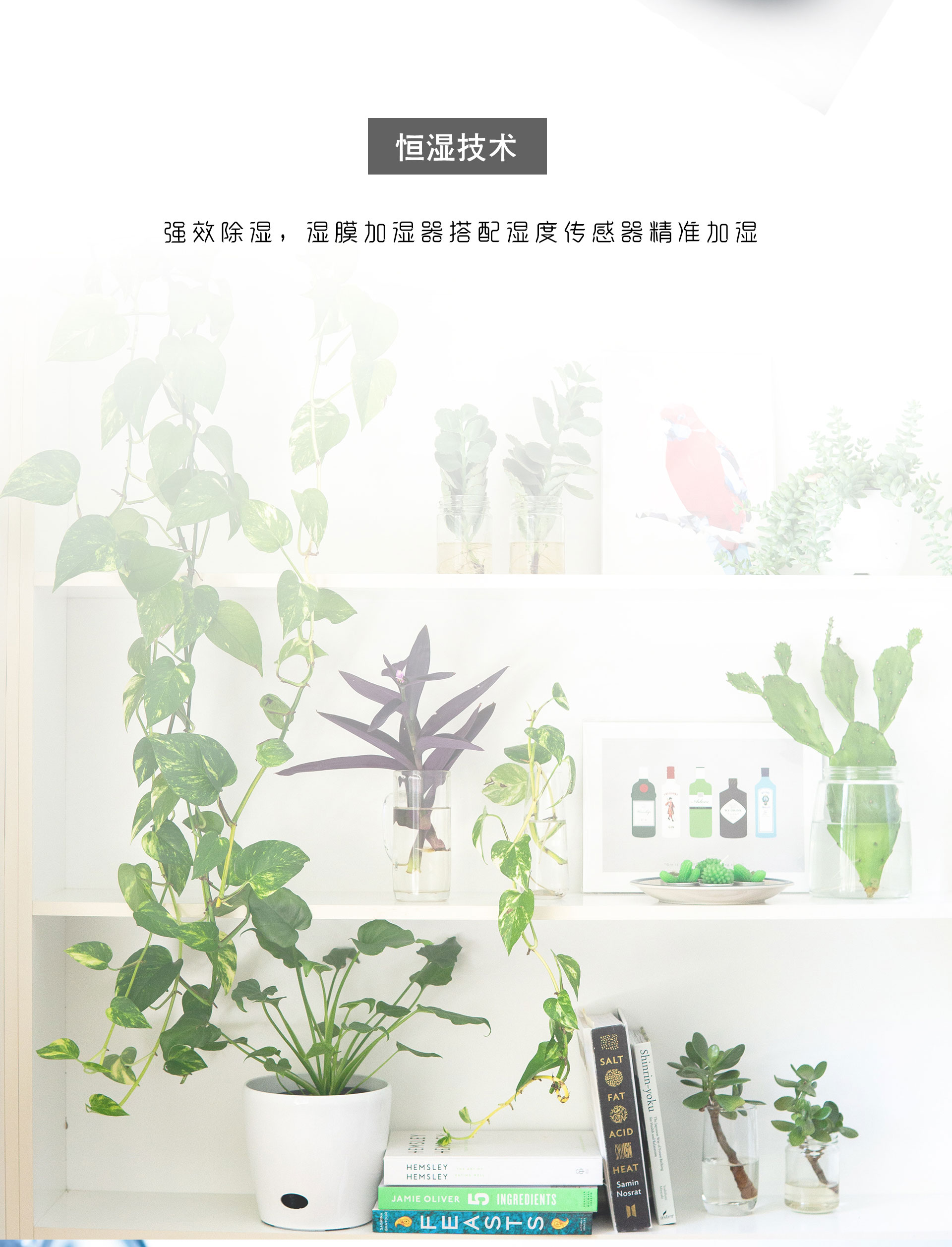 六效3_07.jpg