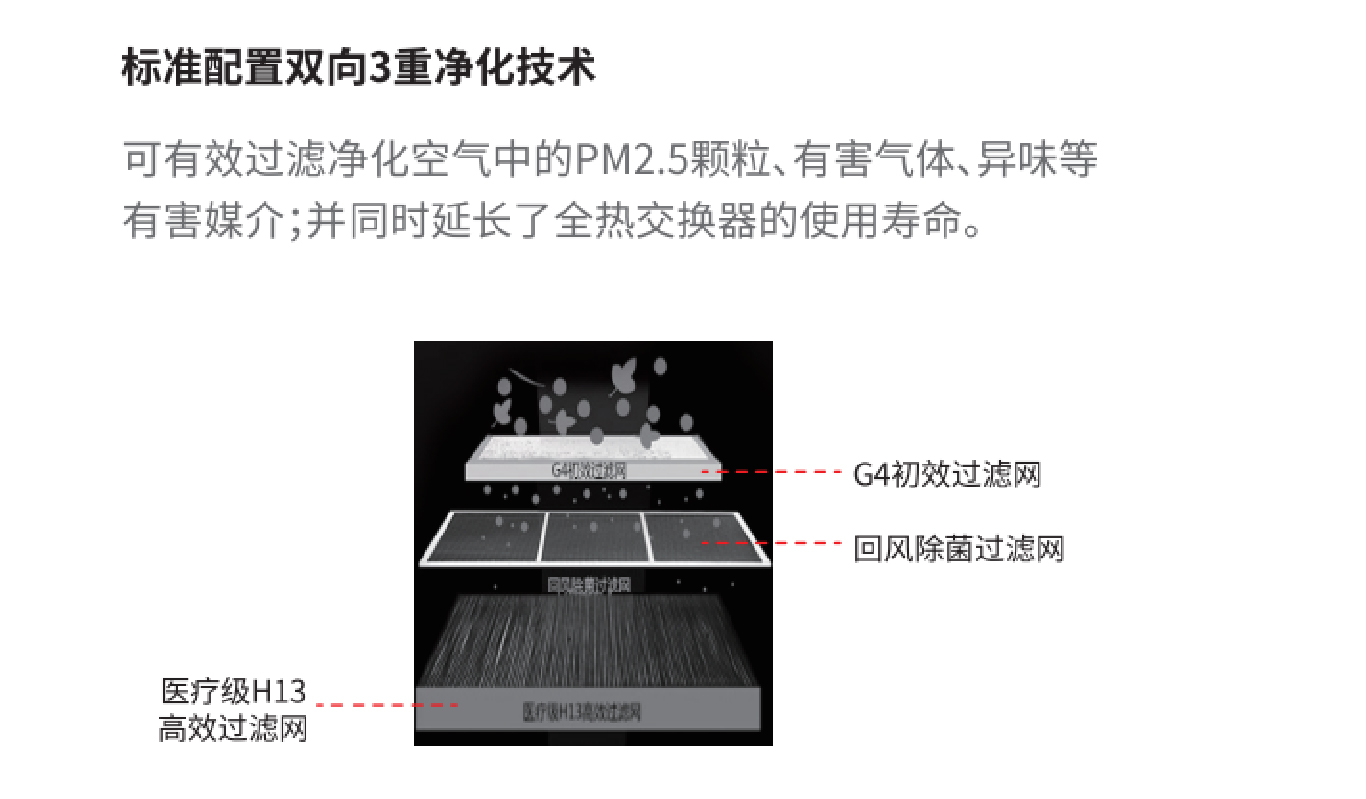 画板 1 副本 6-100.jpg