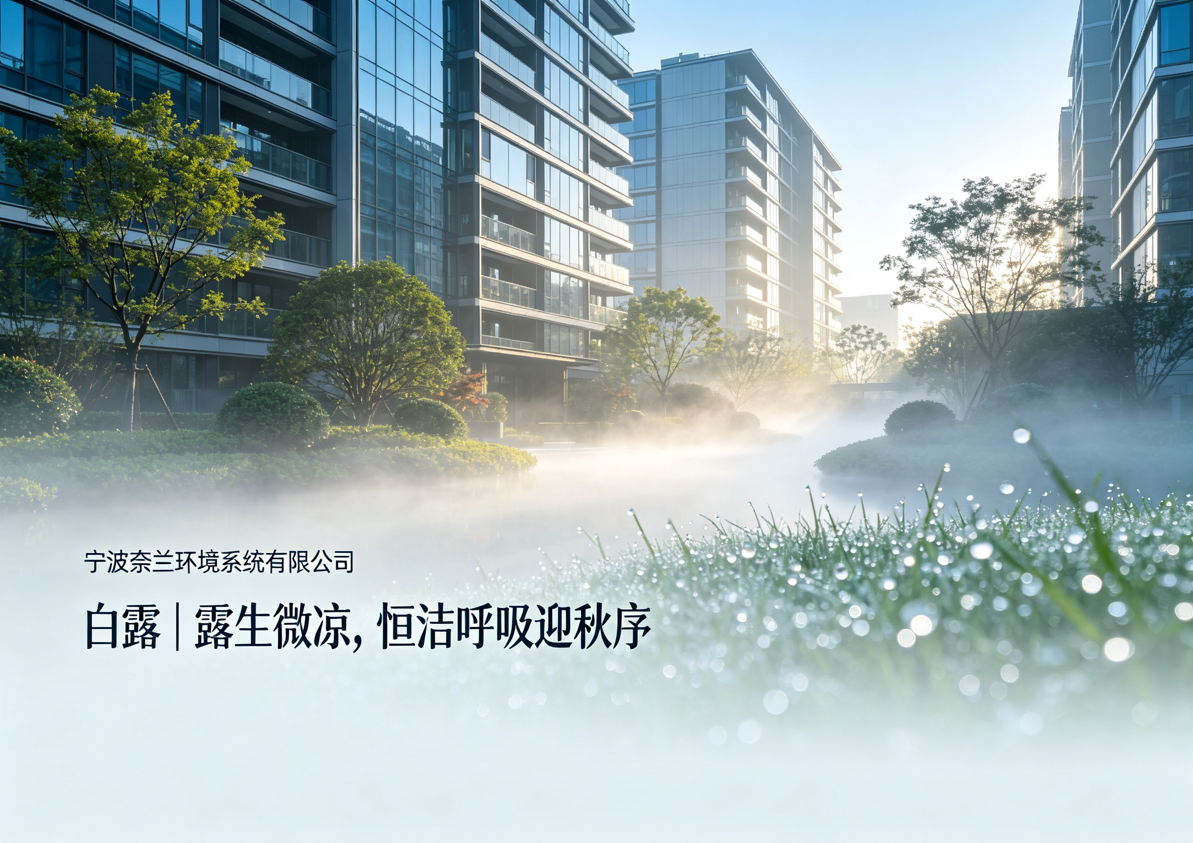 白露｜露生微凉，恒洁呼吸迎秋序